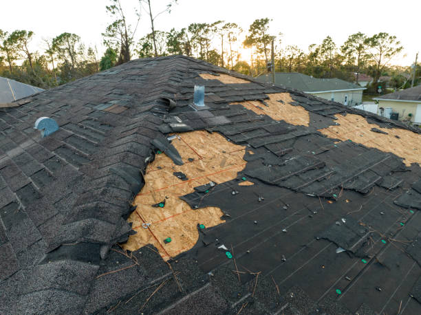 Best Roof Maintenance and Cleaning  in North Manchester, IN